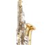 Alto sax - Jupiter alto saxophone is a beginner instrument with advanced features. learn to play the alto sax
