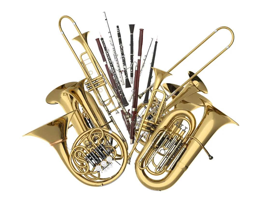 different musical instruments, representing the variety of options available through online music tutoring.