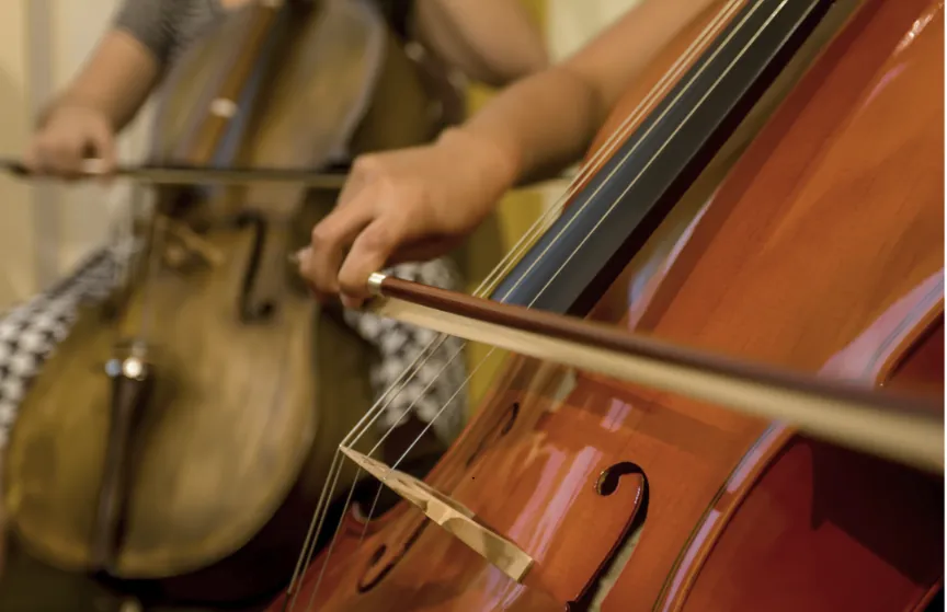 cellist using his cello bow making music