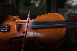 viola with strings and bow