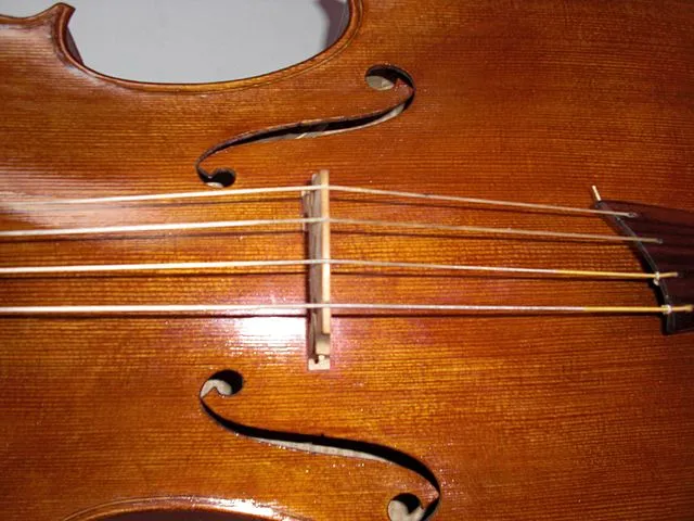 cello bridge positioning