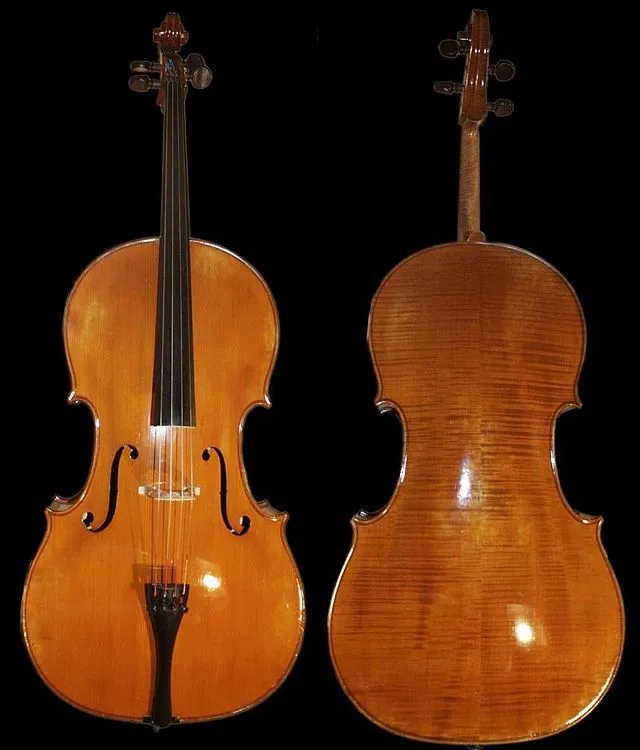 Cello Selection Guide: Finding the Perfect Instrument for Your Child Musician