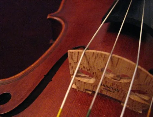 The Bridge to Better Sound: Maintaining and Replacing String Instrument Bridges