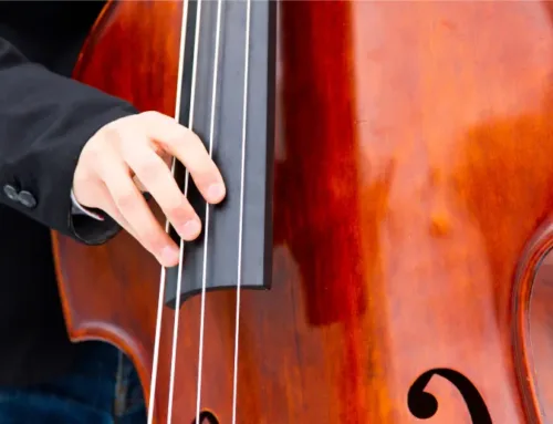 The Ultimate Guide to Replacing Your Upright Bass Strings