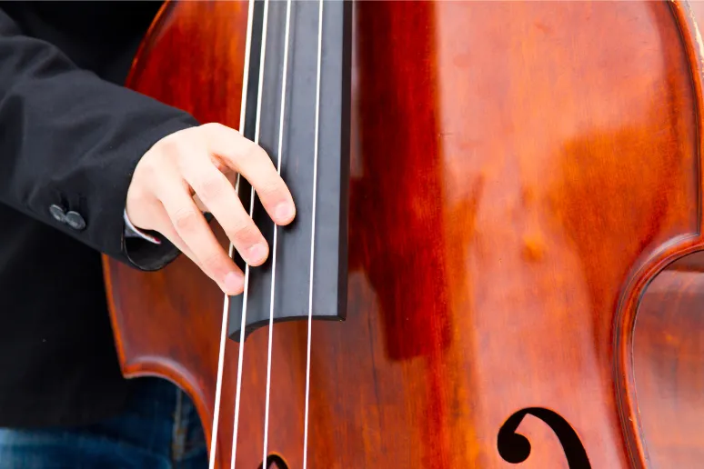 upright bass being payed, showing Upright Bass Strings and hand position