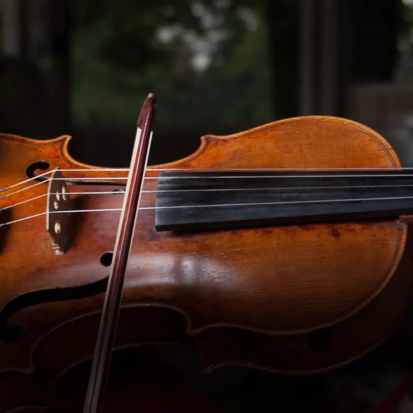 protect your viola from damage and maintain its optimal condition