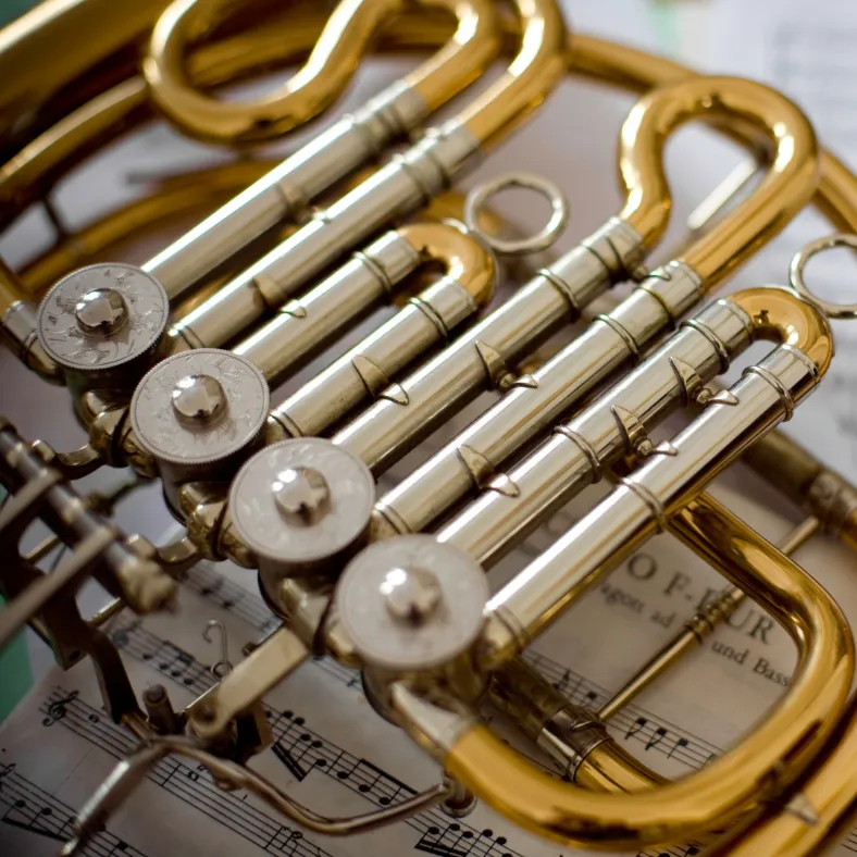 4 valve single Bb french horn