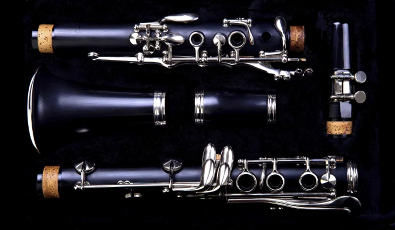 Clarinet in a case