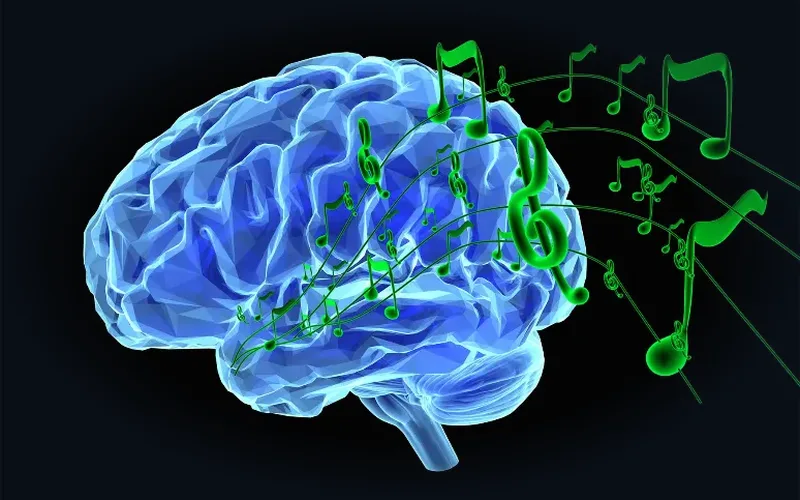 Teaching Strategies & Curriculum